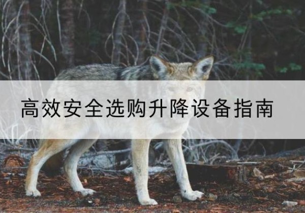 吐鲁番升降货梯厂家推荐-*安全选购升降设备指南