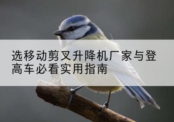 吐鲁番电动升降机厂家-选移动剪叉升降机厂家与登高车必看实用指南